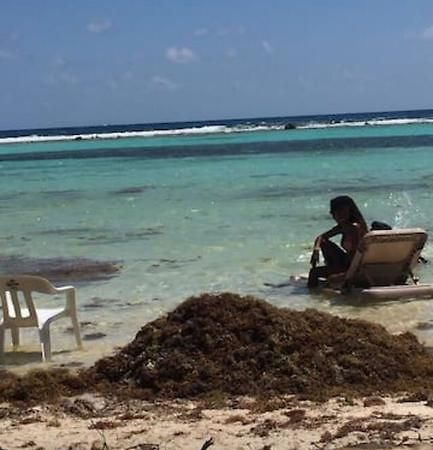Casa Ari 2 Lejlighed Playa del Carmen Eksteriør billede