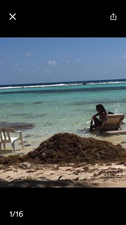 Casa Ari 2 Lejlighed Playa del Carmen Eksteriør billede